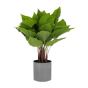 Anthurium planta artificial 50 cm. // Outlet